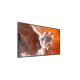 55 Pro BRAVIA 400nit DBNG Standard
