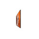 55 Pro BRAVIA 400nit DBNG Standard