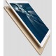 Apple iPad Pro 32GB Oro ML0H2TY/A