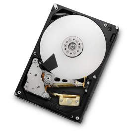 HGST Ultrastar 7K4000 3GB 0F14684