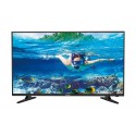 Hisense 40D50 40'' Full HD Negro LTDN40D50EU