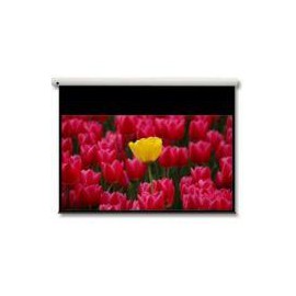 Optoma Panoview 16:9 106'' DE-9106EGA