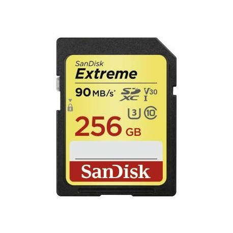ExtremeSDXC Card 256GB 90MB sV30 UHS-IU3 00173358