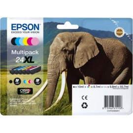Epson C13T24384011