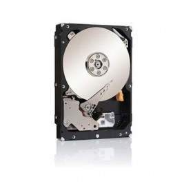 Seagate 500GB ST500LM000