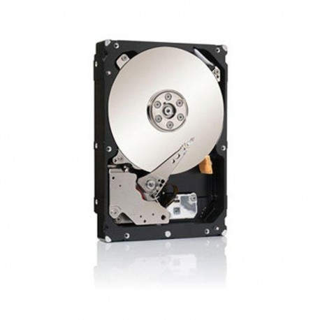 Seagate 500GB ST500LM000