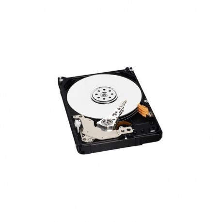 Western Digital 500GB WD5000LPVX
