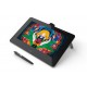 Wacom Cintiq Pro 13 5080lÃ­neas por pulgada 294 x 166mm USB Negro DTH-1320-EU