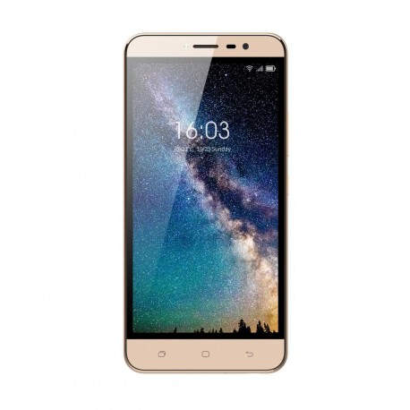 Hisense HS-F23 4G 16GB Oro F23GD