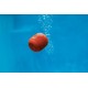 Ultimate Ears WONDERBOOM Mono portable speaker Cilindro Naranja 984-000853