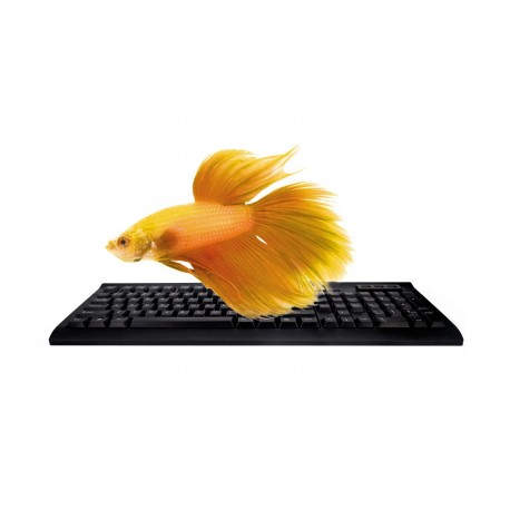 COOLBOX USB CON 3 HUB USB COO-TEC01HU