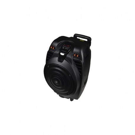 Sunstech MASSIVE-S10 50W Negro MASSIVE-S10BK