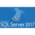 Microsoft SQL Server 2017 Standard 7NQ-01145