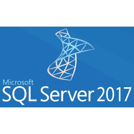 Microsoft SQL Server 2017 Standard 228-11135