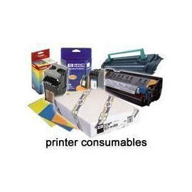 Epson Rollo de Enhanced Adhesive Synthetic Paper, 44'' x 30,5 m, 135 g/m² C13S041619