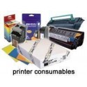Epson Rollo de Enhanced Adhesive Synthetic Paper, 44'' x 30,5 m, 135 g/m² C13S041619