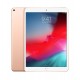 Apple iPad Air tablet A12 256 GB 3G 4G Oro MV0Q2TY/A