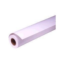 Epson Proofing Paper White Semimatte, 44'' x 30,5 m, 250 g/m² C13S042006
