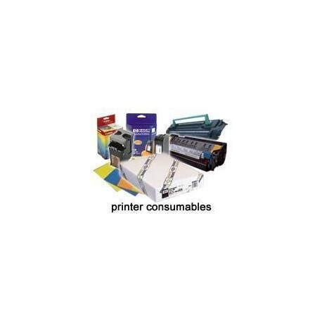 Epson A4 Premium Glossy Photo Paper 50 Sheets Brillo papel fotográfico C13S041624