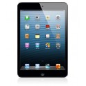Apple iPad mini MF432TY/A