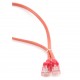 Gembird Patch Cord Cat.5e UTP 25cm Cat5e U/UTP (UTP) Rojo PP12-0.25M/R