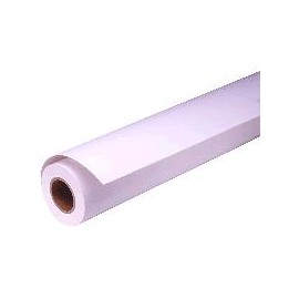 Epson Rollo de Presentation Matte Paper, 24'' x 25 m, 172 g/m² C13S041295