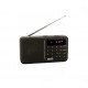 Daewoo DRP-122B Personal Digital Negro radio DRP-122B