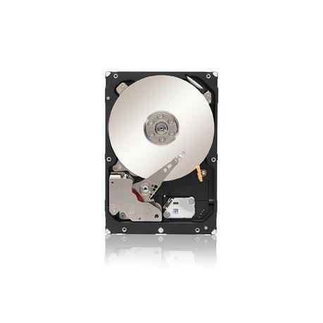 Seagate 3TB ST33000650NS