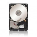 Seagate 3TB ST33000650NS