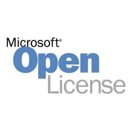 Microsoft Exchange Standard 2019 1 licencia(s) Licencia 381-04492