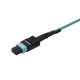 StarTech.com cable de fibra optica 2 m OM3 MPO/MTP 8x LC Aqua MPO8LCPL2M
