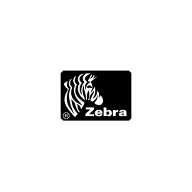 Zebra ZT421 zt42162-t4e0000z