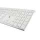 Blue Element PACK-WL-PC-BE/SP teclado RF inalámbrico QWERTY