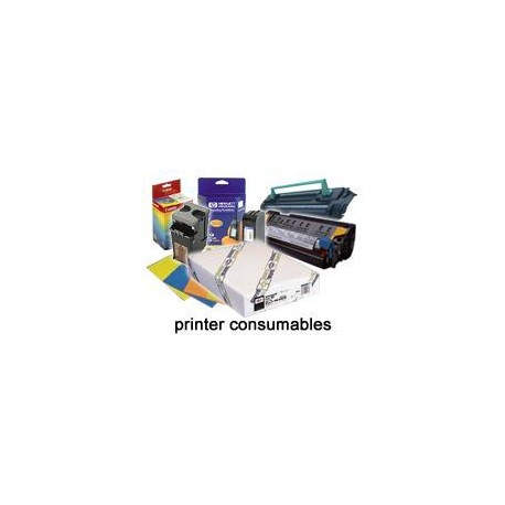Epson Archival Matte Paper, DIN A3+, 192 g m C13S041340