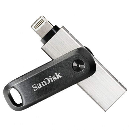 Sandisk SDIX60N-256G-GN6NE unidad flash USB 256 GB 3.2 Gen 1 (3.1 Gen 1) Gris, Plata