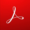 Adobe Acrobat Pro 2020 65310799