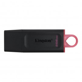 Kingston Technology DataTraveler Exodia unidad flash USB 256 GB Negro - DTX/256GB