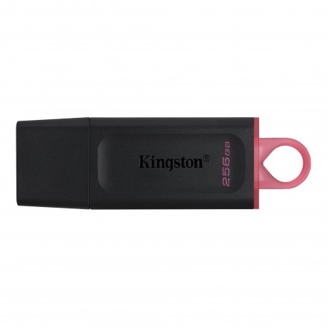 Kingston Technology DataTraveler Exodia unidad flash USB 256 GB Negro - DTX/256GB
