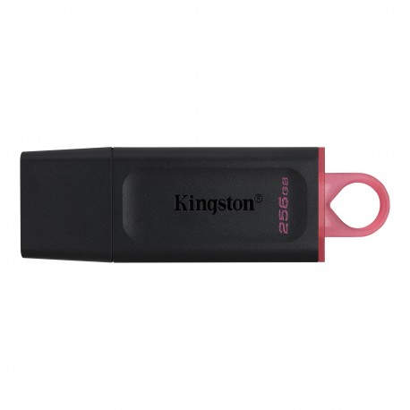 Kingston Technology DataTraveler Exodia unidad flash USB 256 GB Negro - DTX/256GB