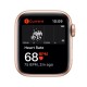Apple Watch SE OLED Oro 4G  - myeh2ty/a
