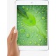 iPad mini ME824TY/A