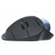 Logitech Ergo M575 ratón mano derecha RF inalámbrica + Bluetooth Trackball 2000 DPI 910-005872