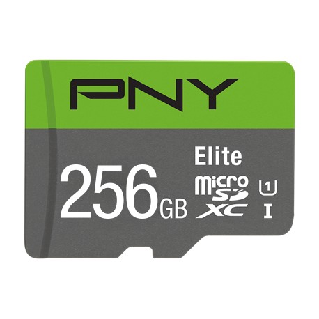 PNY Elite memoria flash 256 GB MicroSDXC Clase 10 UHS-I P-SDU256V11100EL-GE
