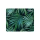 NATEC Modern Art - Palm Tree Multicolor - npf-1431