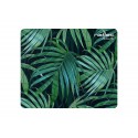 NATEC Modern Art - Palm Tree Multicolor - npf-1431