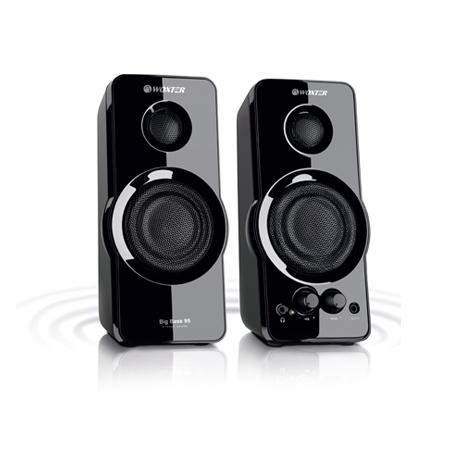 Woxter Big Bass 95 20W