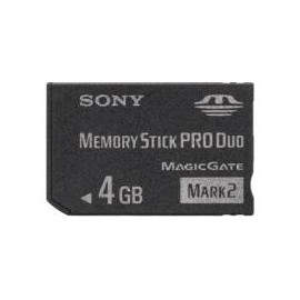 Sony MSMT4GN 4GB