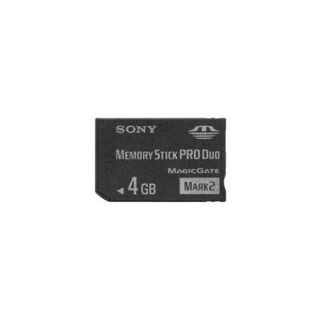 Sony MSMT4GN 4GB