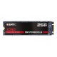 Emtec X250 M.2 256 GB Serial ATA III 3D NAND - ecssd256gx250