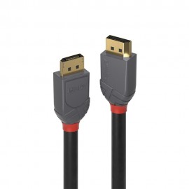 Lindy 36482 cable DisplayPort 2 m Negro